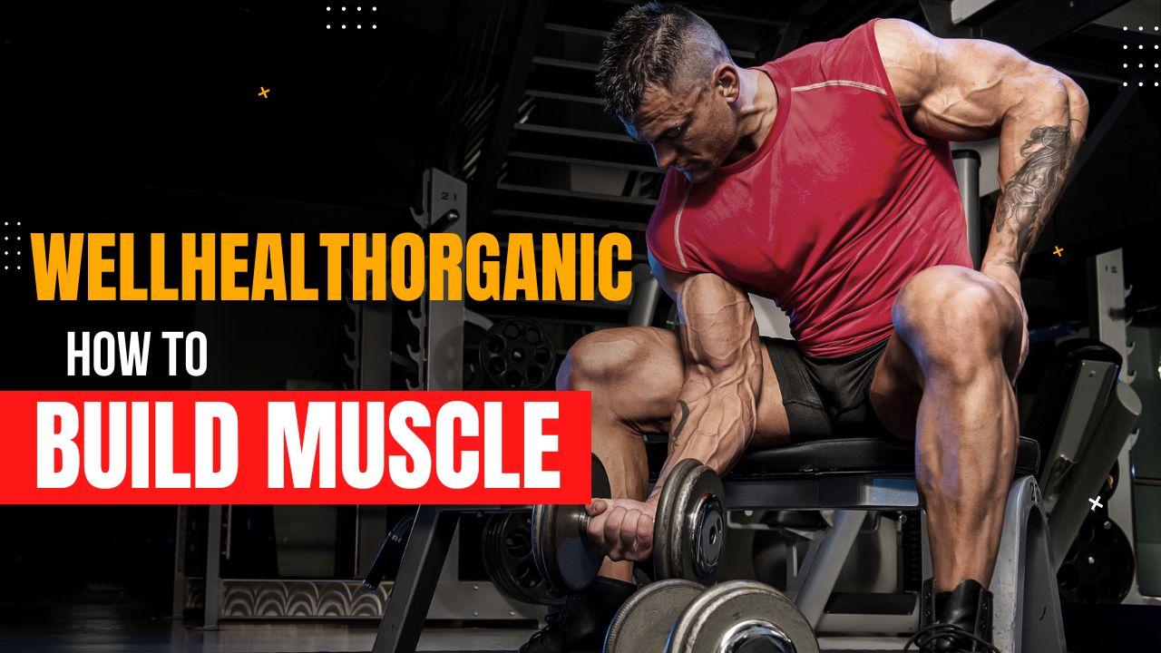 Wellhealthorganic How to Build Muscle